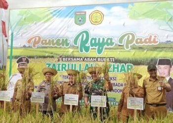 Panen Raya Padi di Tanah Bumbu: Optimalkan Pertanian untuk Pemasok Pangan Kalsel dan IKN