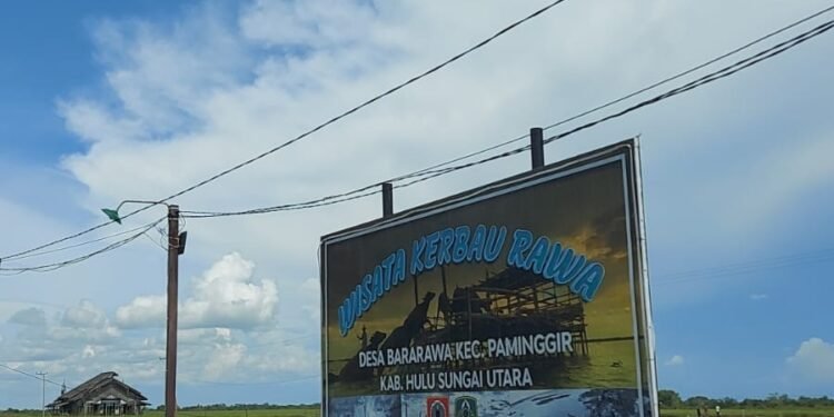 Kembangkan Destinasi Wisata Kerbau Rawa, Pemprov Kalsel Selesaikan 60 Persen Pembangunan