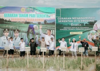 Tanam Padi Serentak Bersama Presiden, Kegiatan di Kalsel Dipusatkan di Tanbu dan Dipimpin Bupati Andi Rudi Latif
