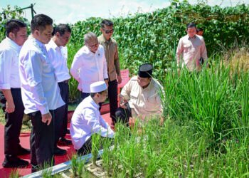 Presiden Prabowo: Indonesia Jadi Lumbung Pangan Dunia
