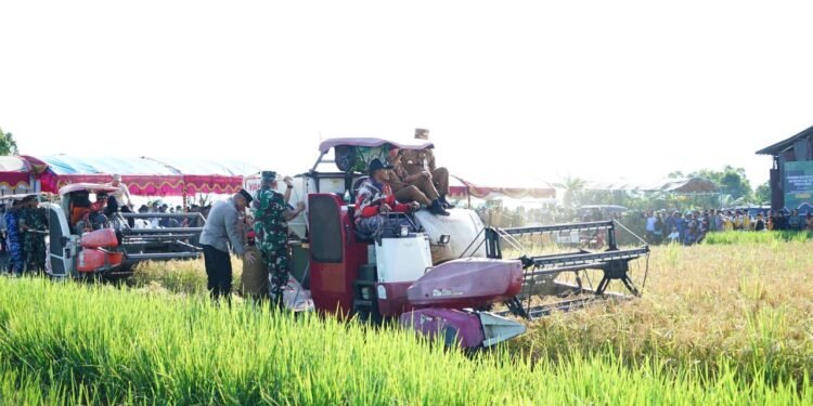 Pemprov Kalsel Panen Raya di Desa Panca Karta