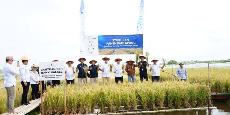 Inovasi Padi Apung Tunjukkan Hasil   Menggembirakan, Kalsel Gelar Syukuran Panen Padi Apung di Desa Siang Gantung‎