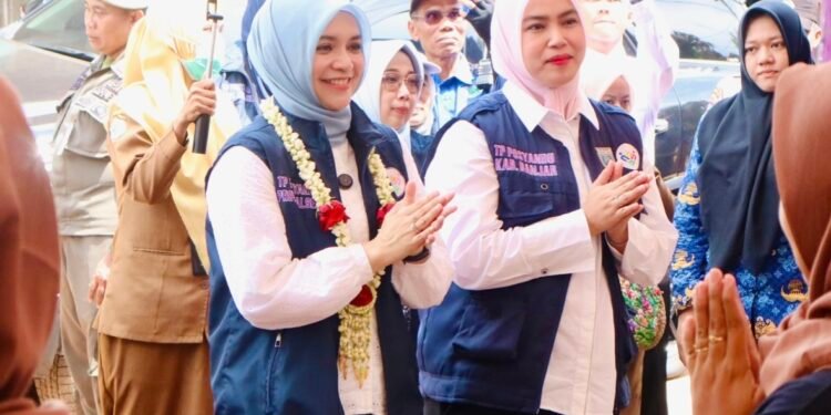 Wakil Ketua TP Posyandu Kalsel Kunjungi Lokus Ke-5 Posyandu 6 SPM di Desa Jambu Burung