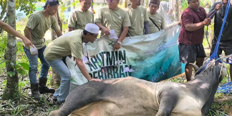 PT Arutmin Indonesia Tambang Batulicin Salurkan 1.500 Paket Daging Kurban untuk Warga Sekitar