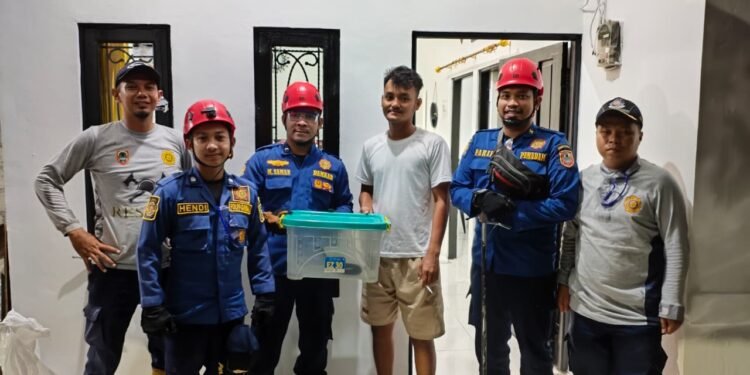 Satpol PP Damkar Provinsi Kalsel Tunjukkan Kesigapan Layani Masyarakat dalam Evakuasi Ular Cobra