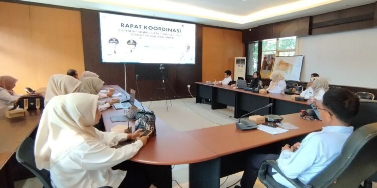 Pemprov Kalsel Dorong Digitalisasi UMKM Lewat Sistem “SAPA UMKM”