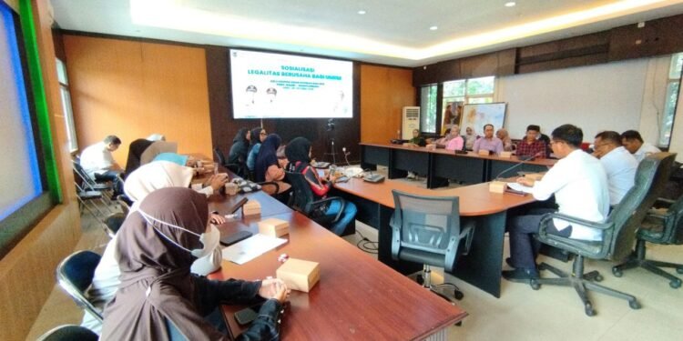 Pemprov Kalsel Dorong Pelaku UMKM Segera Urus Legalitas Usaha