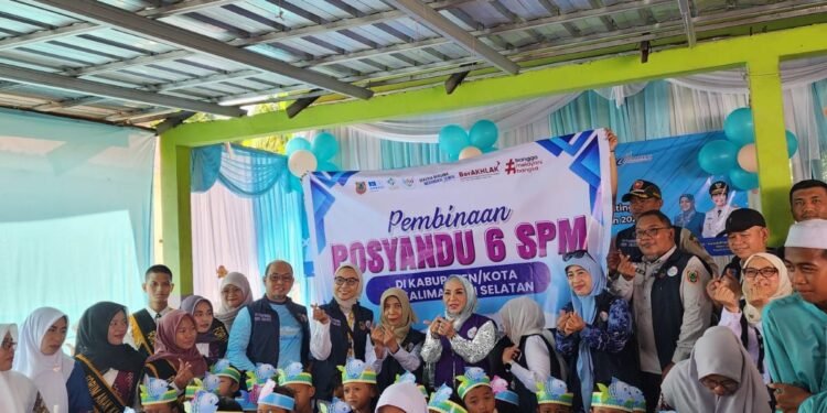 Ketua TP Posyandu Kalsel Lakukan Pembinaan Posyandu 6 SPM di Desa Mandiangin Barat