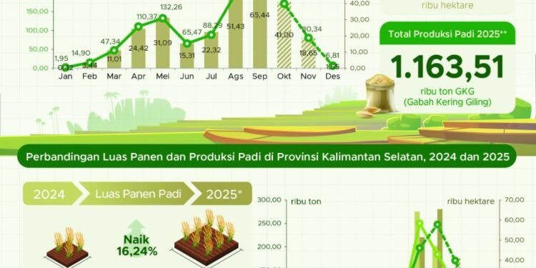 Luas Panen Puncak Padi di Kalsel Capai 65,44 Ribu Hektare