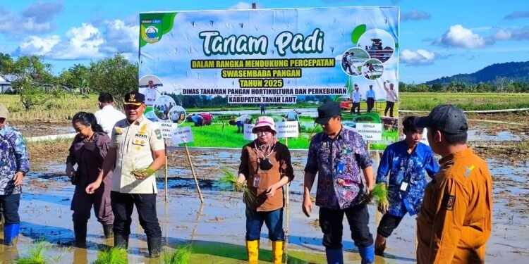 DPKP Kalsel Fokus Kuatkan Pangan Lewat Tujuh Program Prioritas 2026