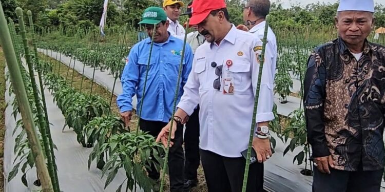 Gerakan Tanam Cabai dan Bawang Merah, Kalsel Perkuat Stabilitas Pangan dan Kendali Inflasi