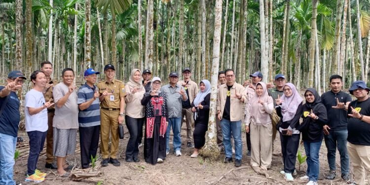 Perkuat Program BioCF, Dishut Kalsel Pelajari Pinang Betara Varietas Unggul Nasional