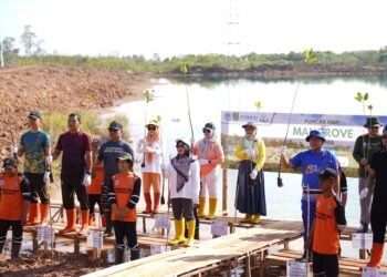 Hari Mangrove Sedunia 2026, Tanah Bumbu Tanam Mangrove untuk Generasi Mendatang