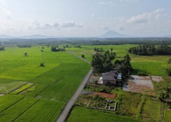 Bupati Andi Rudi Latif Dorong Produktivitas Petani dan Petambak Lewat Pengaspalan Jalan di Desa Sepunggur