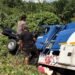 Truk Tangki vs Pikap, 7 Tewas