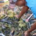 Lapas Batulicin Panen Lele 51 Kg, Warga Binaan Sudah Pikirkan Usaha Sendiri