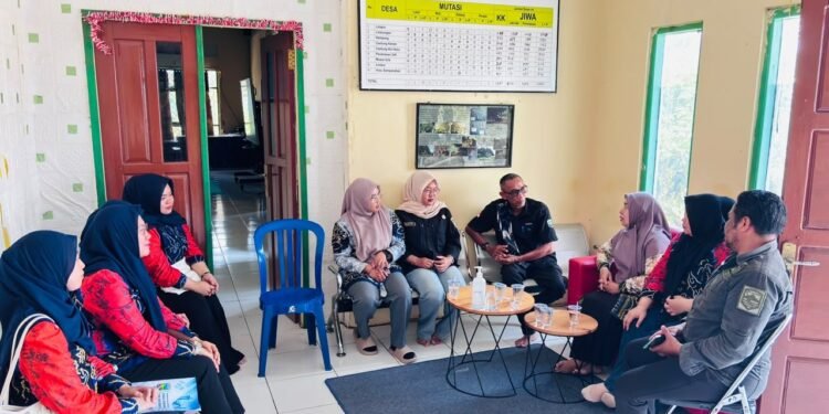 Hampang Dilanda Kemarau, Hasil Pertanian Menurun dan Air Bersih Mulai Sulit